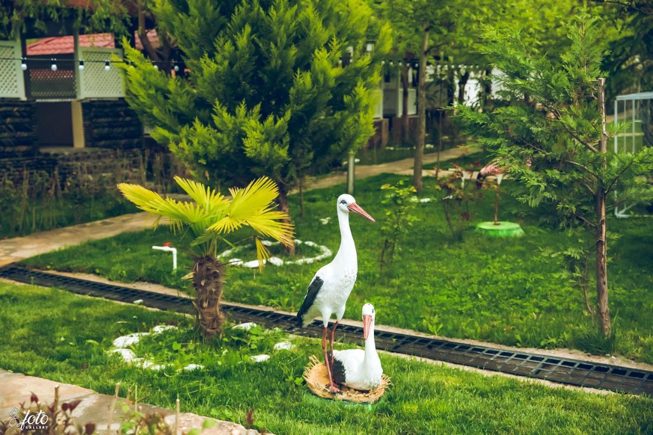 Su Sesi Hotel&Restorant Goygol Luaran gambar